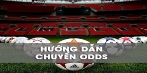cách chuyển odds châu âu sang châu á