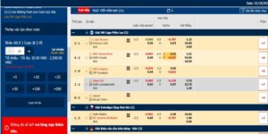 ty le ca cuoc hockey 3