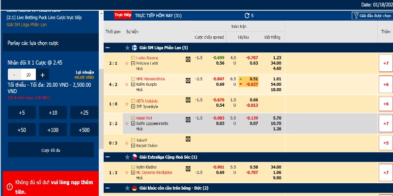 ty le ca cuoc hockey 3